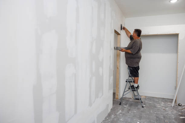 Best Biohazard Mold Removal  in Salisbury, MO