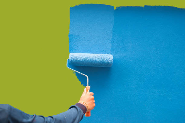 Best Mold Odor Removal Services  in Salisbury, MO